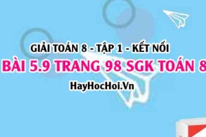 Giải bài 5.9 trang 98 Toán 8 Tập 1 SGK Kết nối tri thức